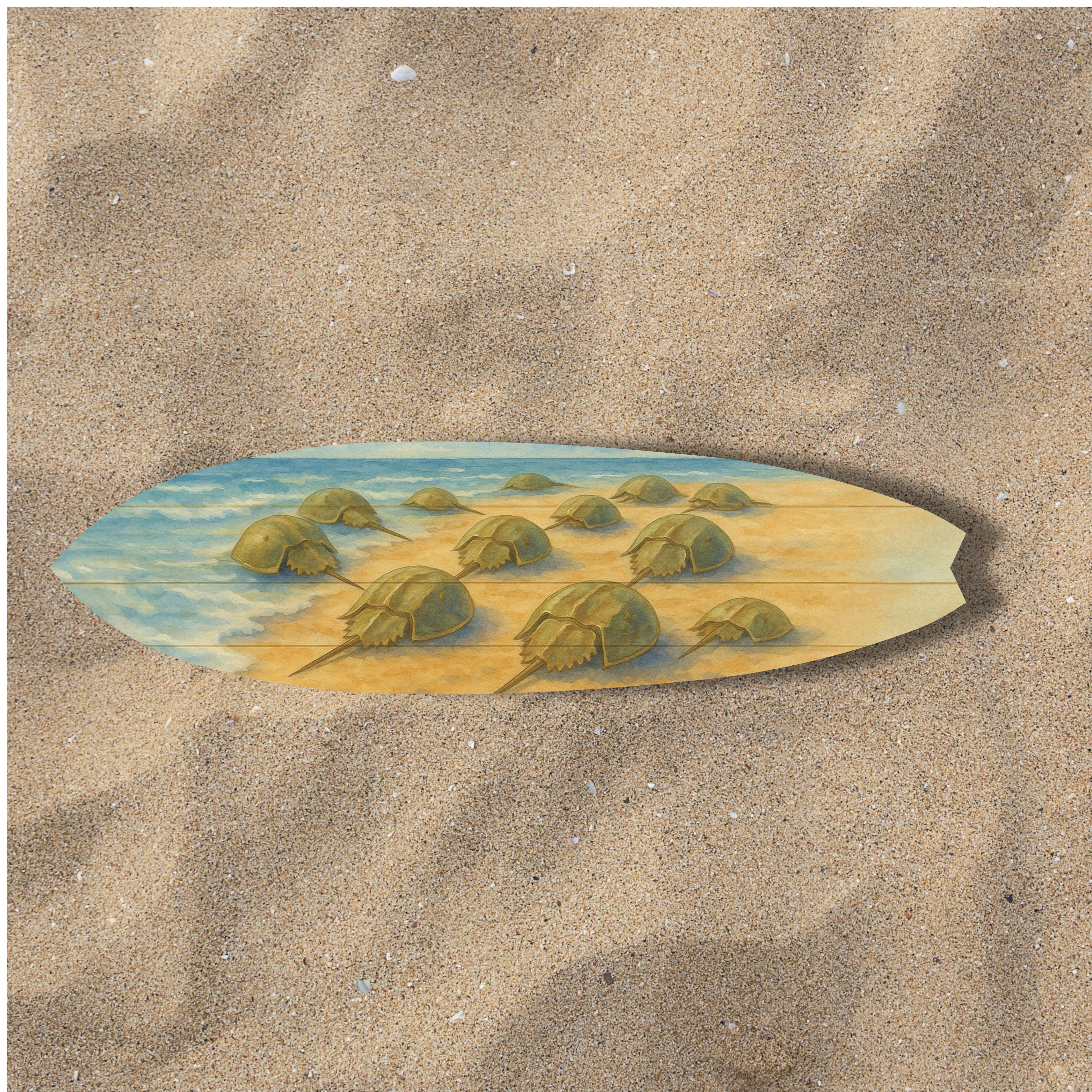 Horseshoe Crab Surfboard Wall Art